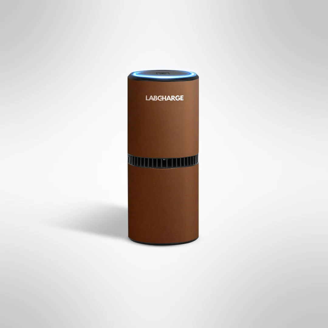 Sunday Cocoa Ionic Air Purifier