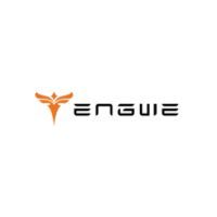 Engwe DE
