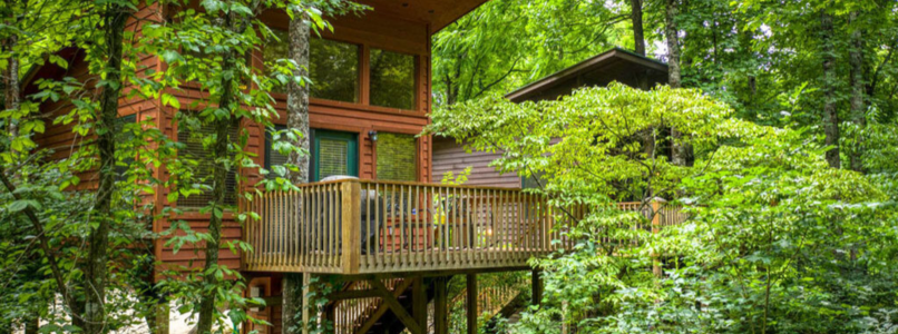 treehouse