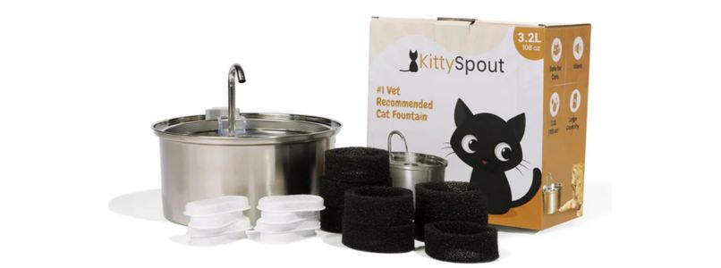 KittySpout