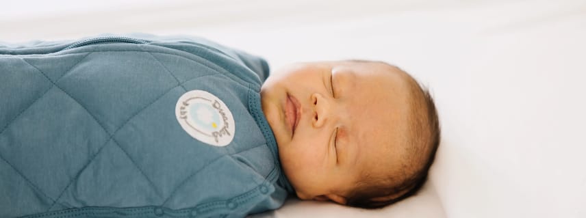 Dreamland Sleep Sack