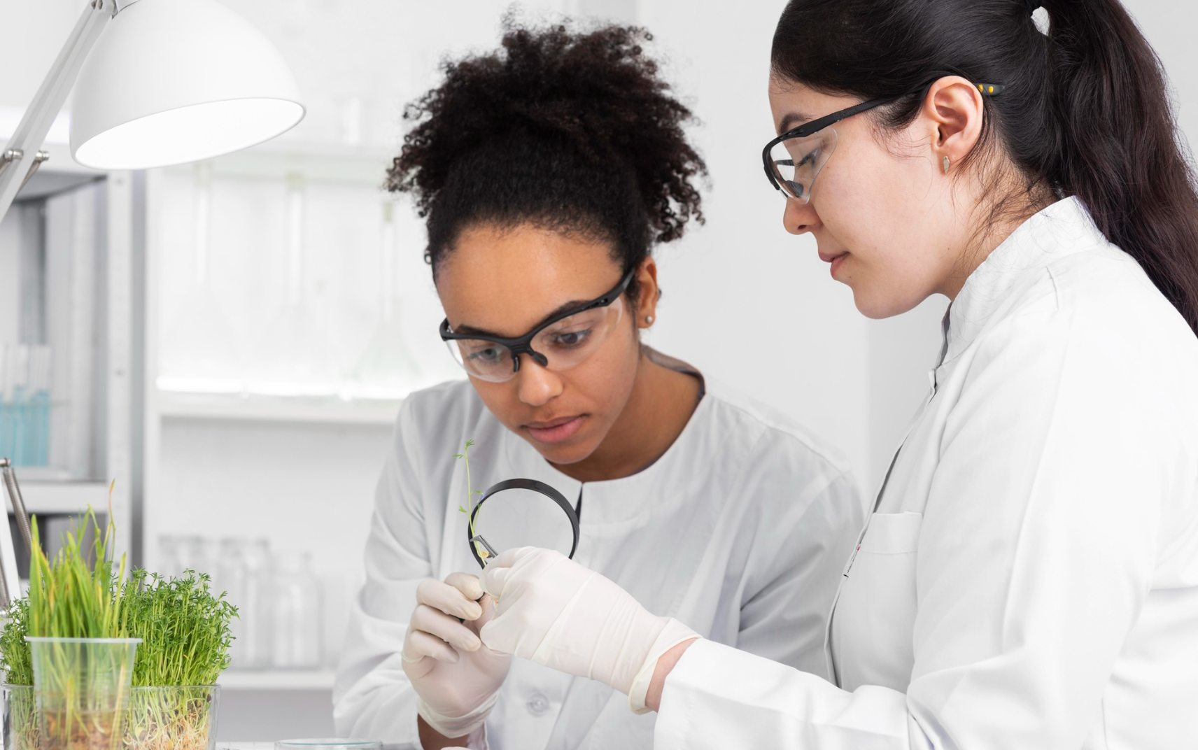 TruDiagnostic Review 2026: Is It Worth It?