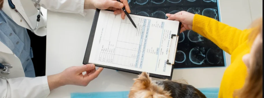 Embark Vet Review: Dog DNA Tests and Benefits Explained